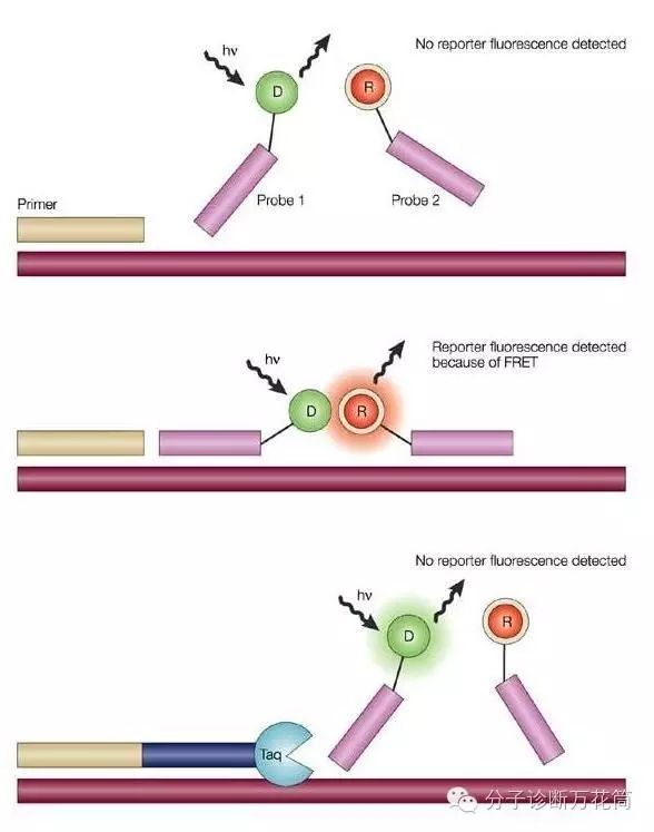 义翘神州获得发明专利授权:“一种用于检测多种诺达病毒的qPCR引物探针组、检测方法及应用”