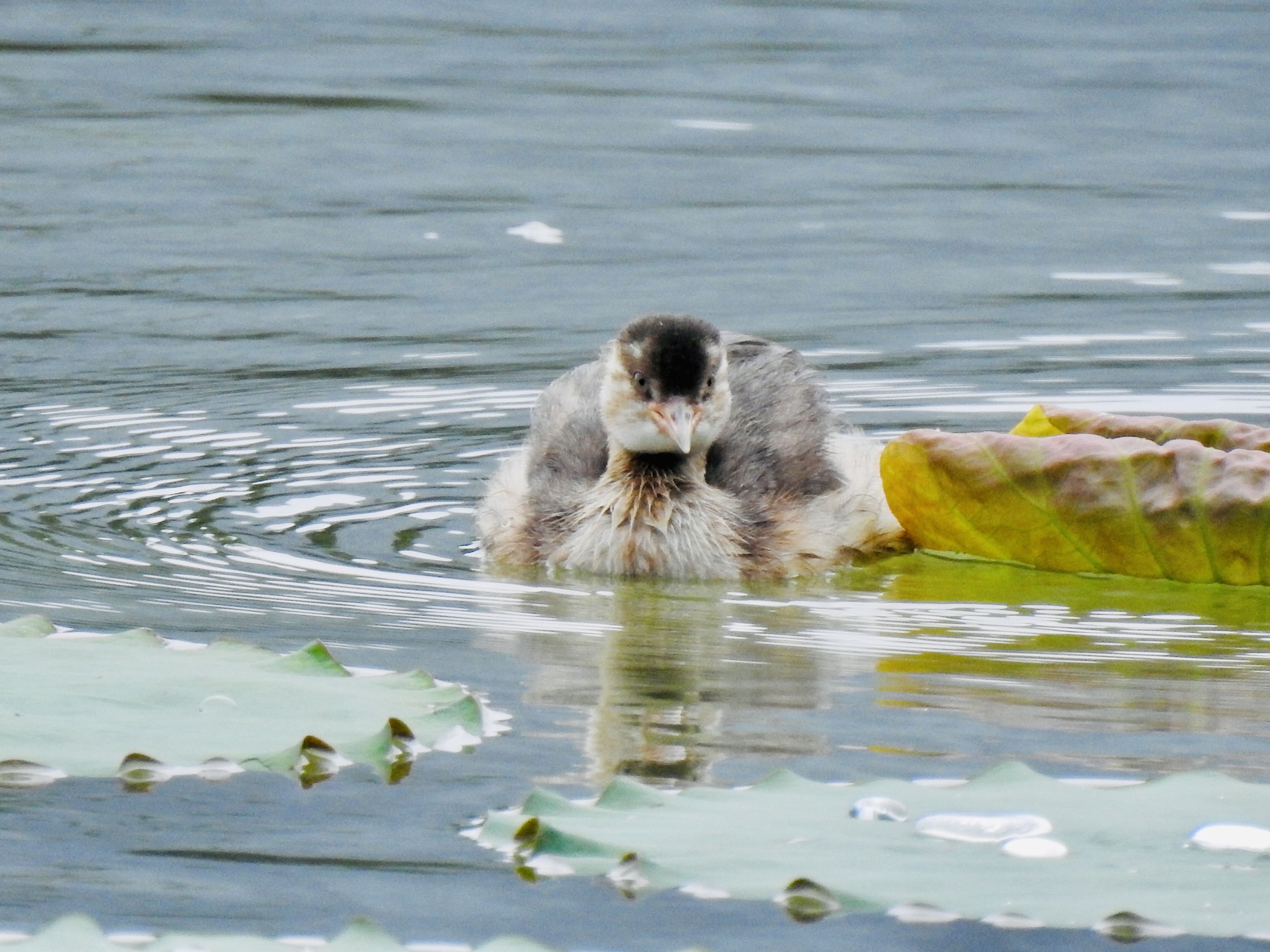 立方风控鸟·晚报(3月10日)