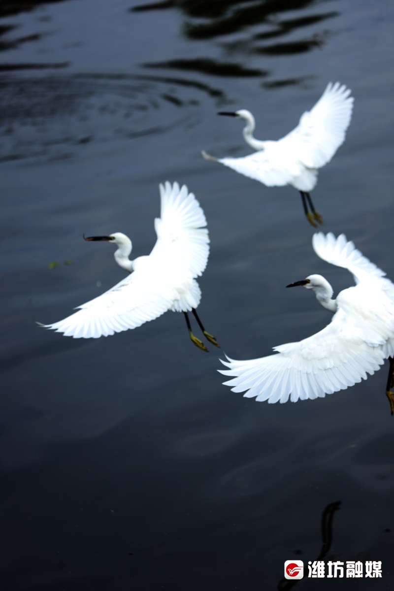 立方风控鸟·晚报(3月10日)