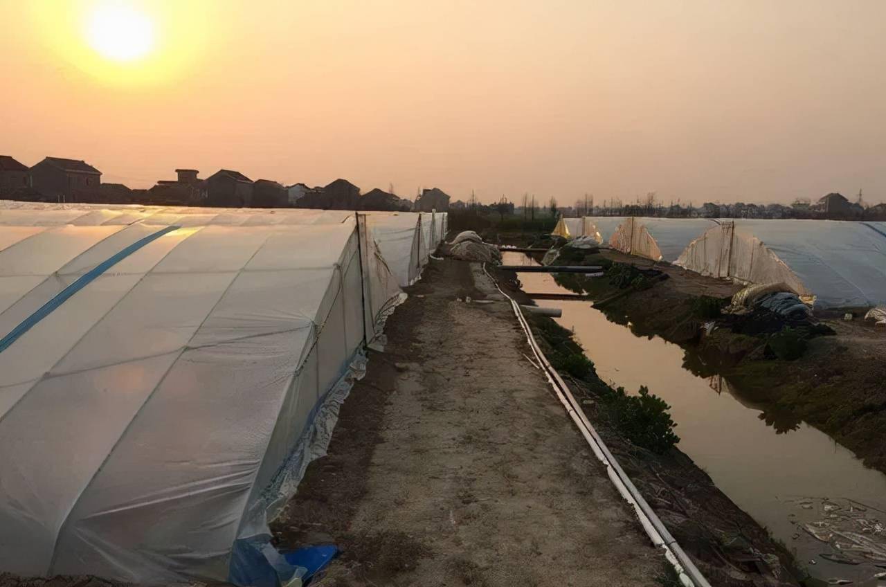 【涨知识】无安全，不“养虾”！