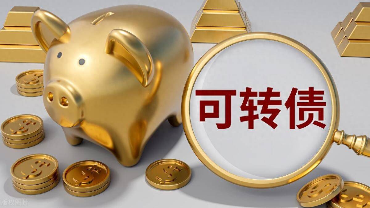 蓝帆医疗:可转债是公司当前重点工作