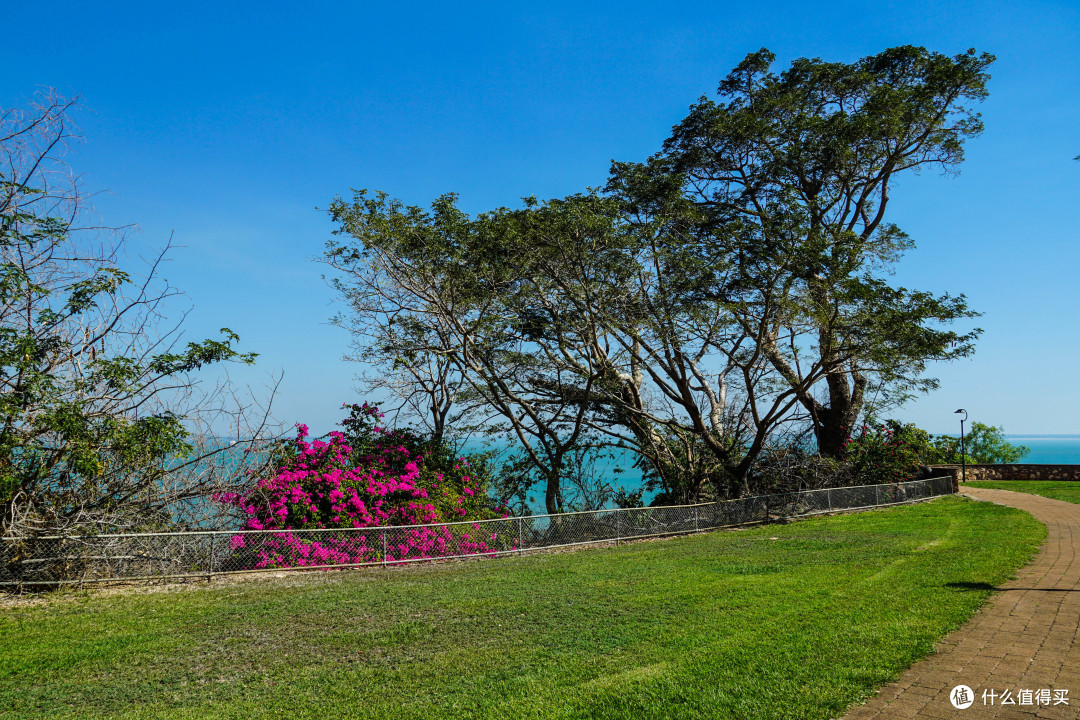 巴西新发现恐龙物种揭示“跨洲”演化迁徙线索