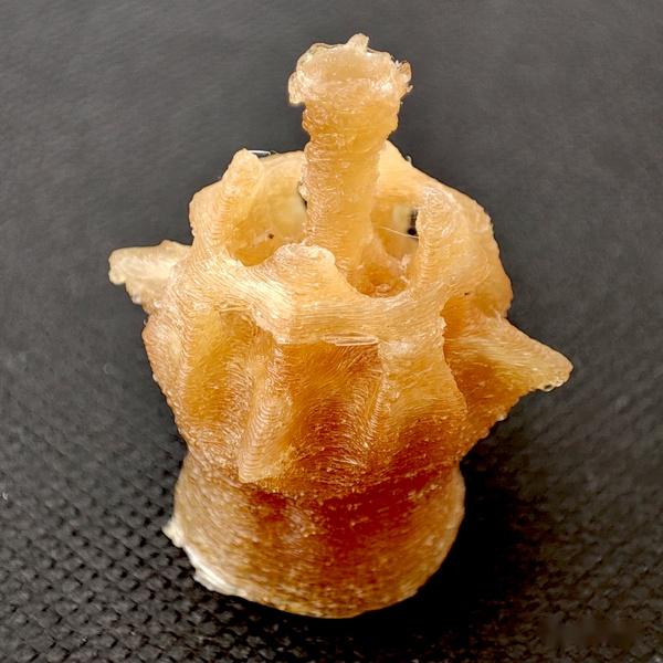 趣丸万相与3D打印龙头赛纳三维达成合作，开启全彩3D打印消费新市场