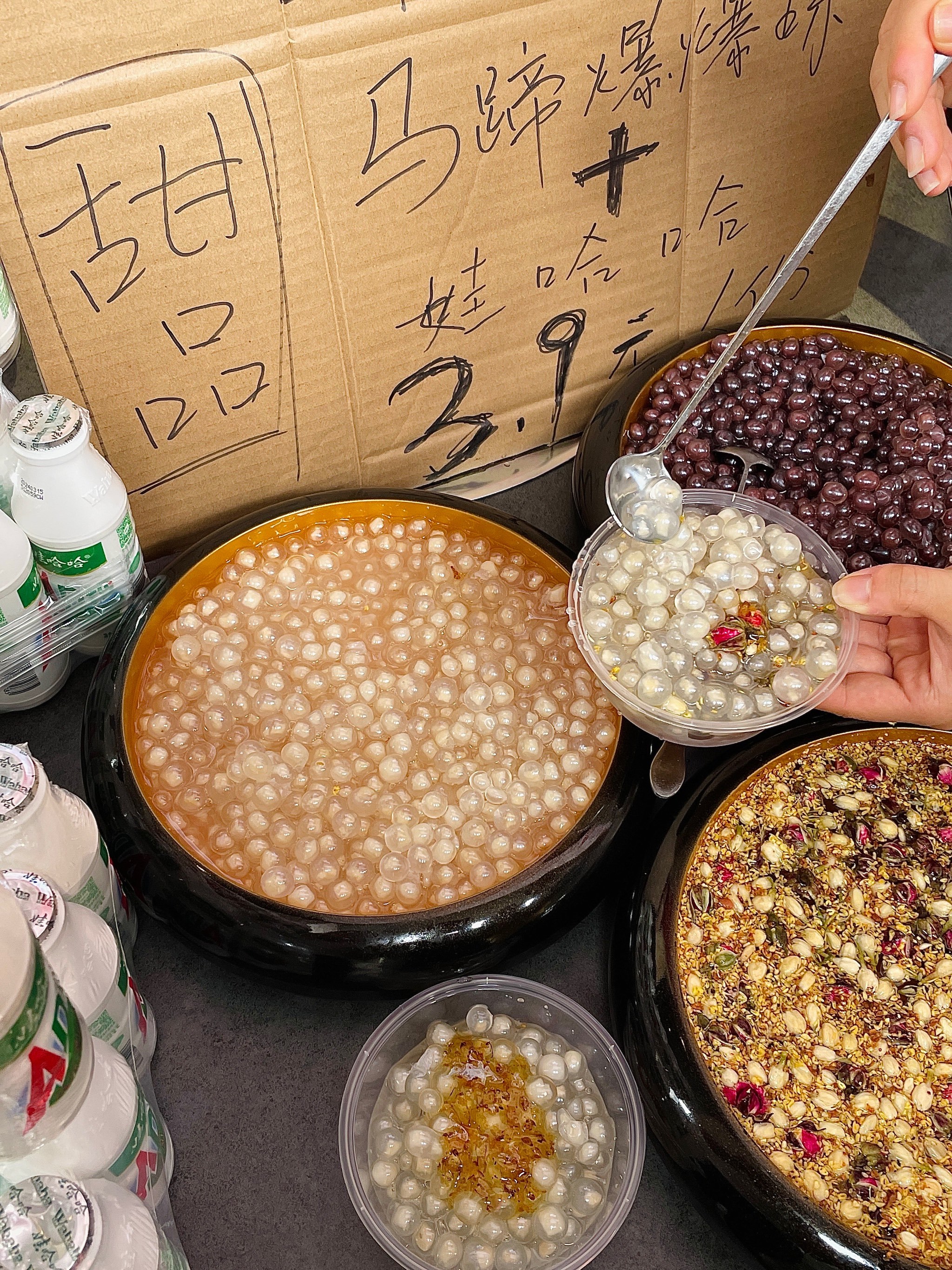 “25东北C1”将于3月23日付息