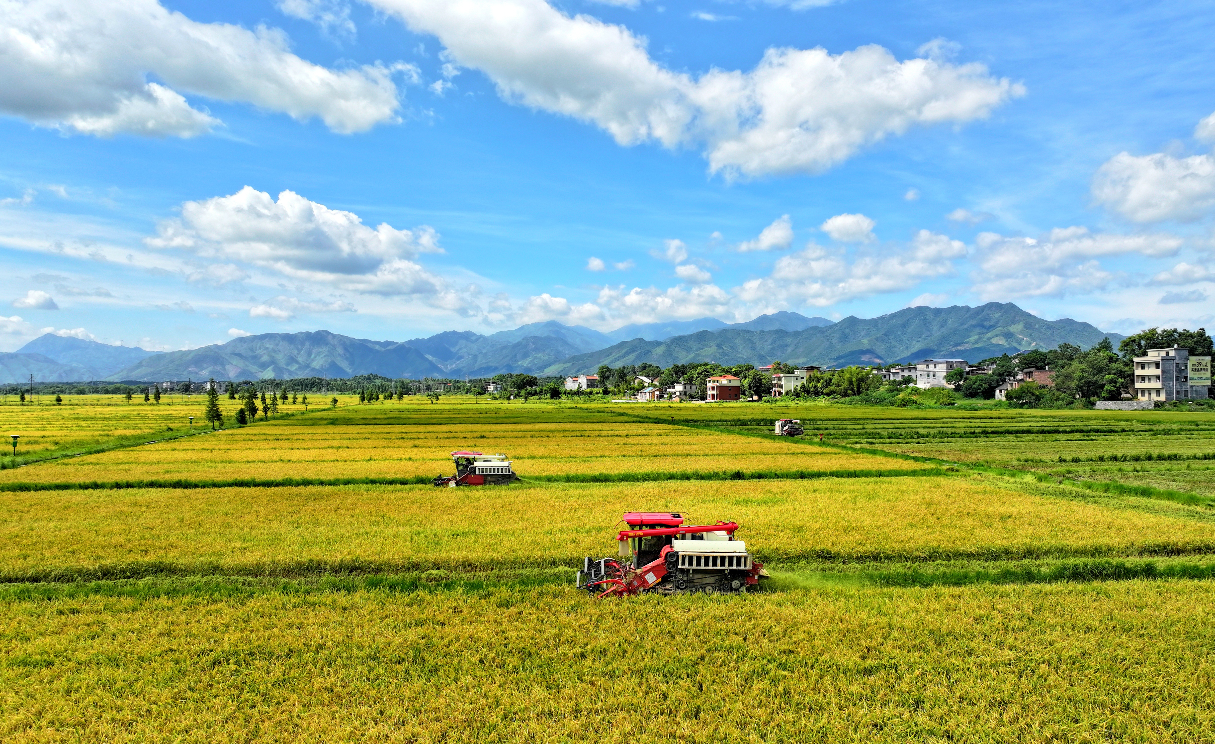 巴西2025/26年度粮食产量预计增长0.3%