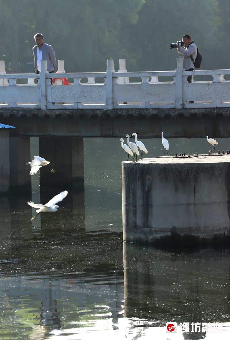 立方风控鸟·晚报(3月26日)