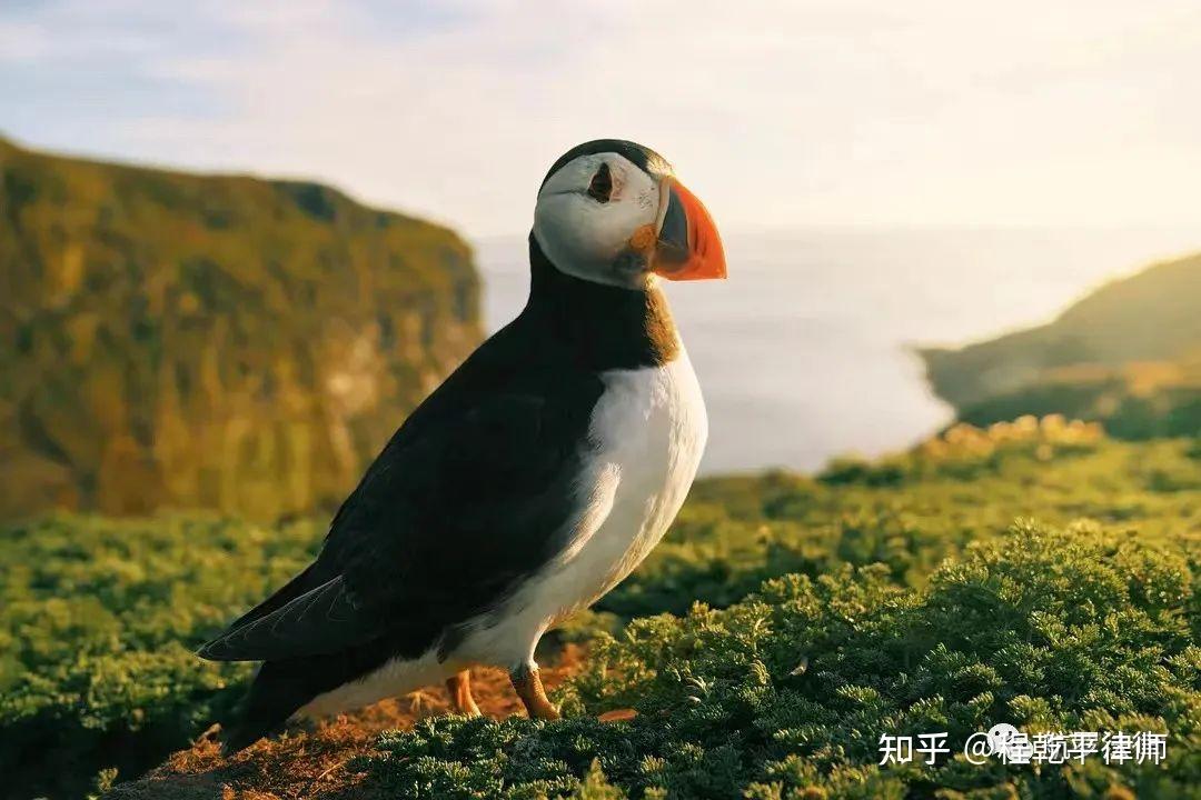 立方风控鸟·晚报(3月26日)