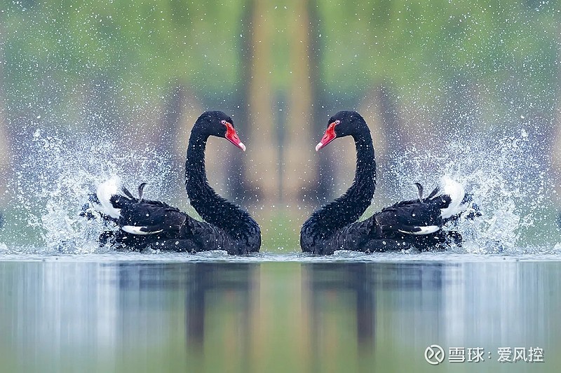 立方风控鸟·晚报(3月27日)