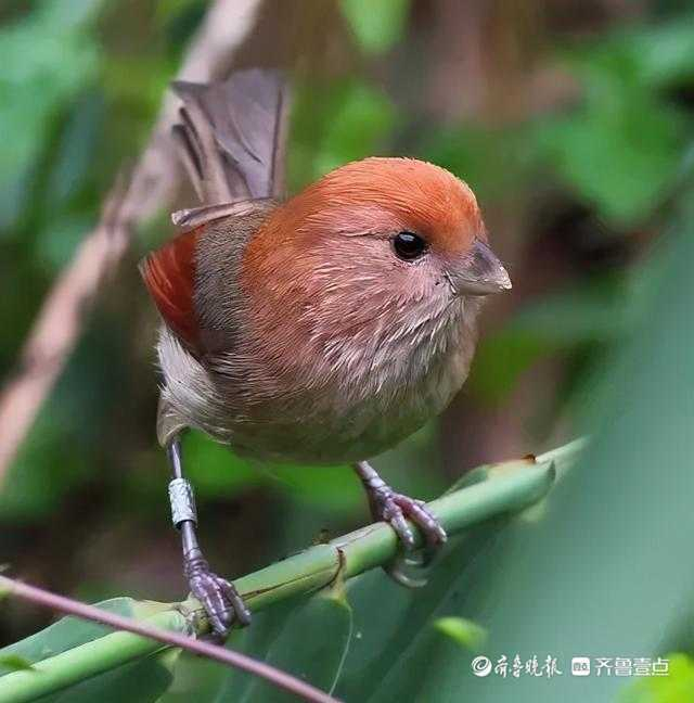 立方风控鸟·晚报(3月27日)