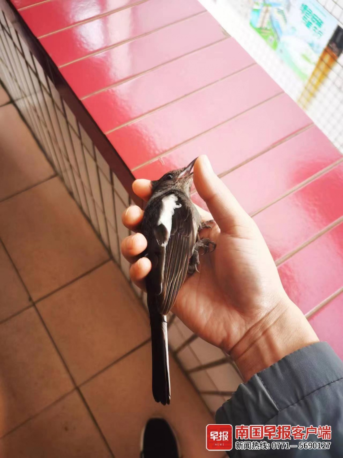 立方风控鸟·早报(3月30日)