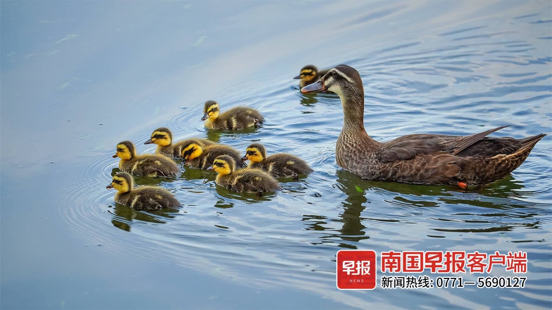 立方风控鸟·早报(3月30日)