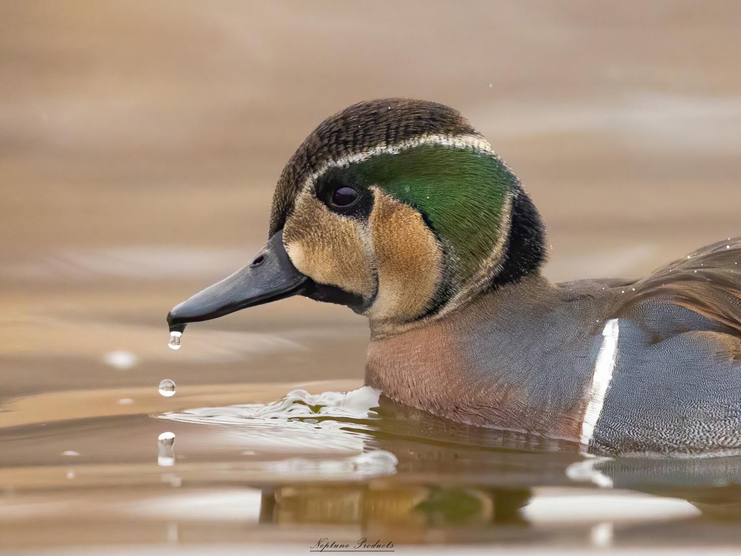 立方风控鸟·早报（4月4日）