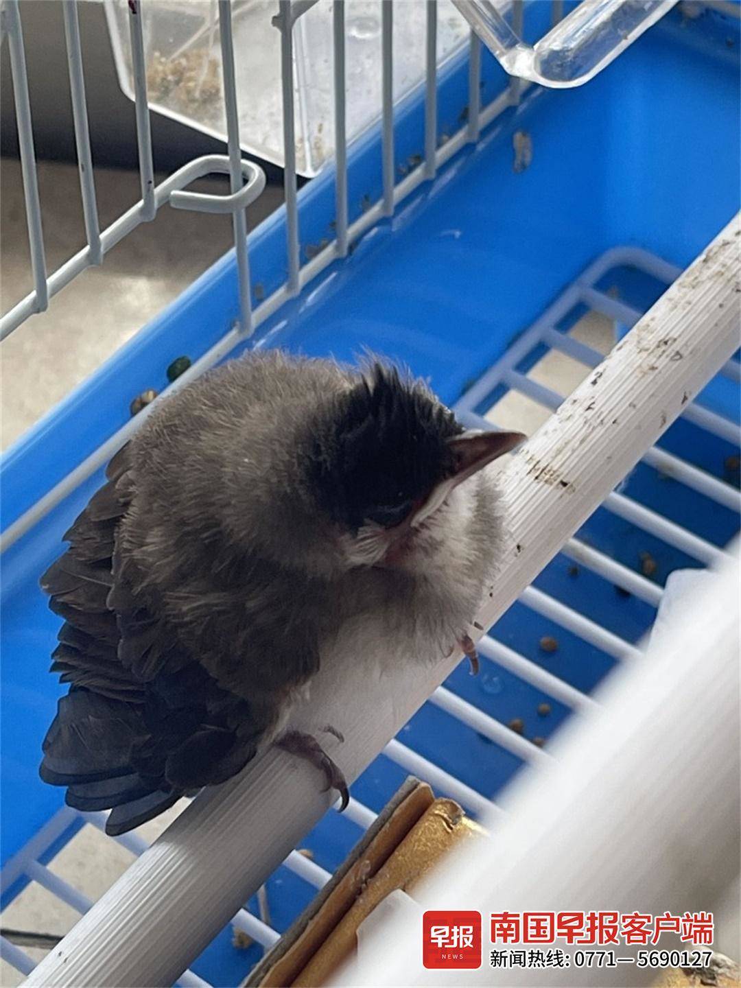 立方风控鸟·早报（4月4日）