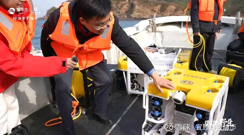 獐子岛(002069)2026年一季报简析:净利润同比增长263.86%,三费占比上升明显