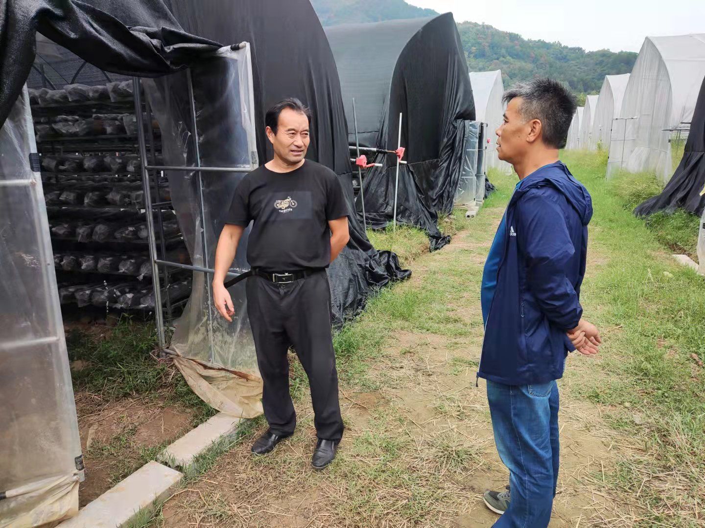 远东传动：已累计收到土地收储补偿款11000万元