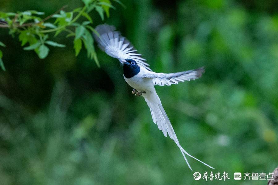 立方风控鸟·晚报(5月8日)