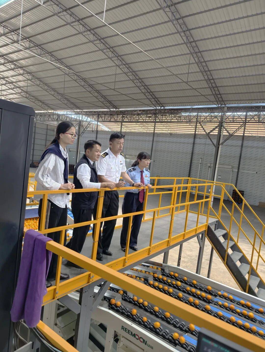 吉经济部长:税务和海关部门对企业的检查仍将继续