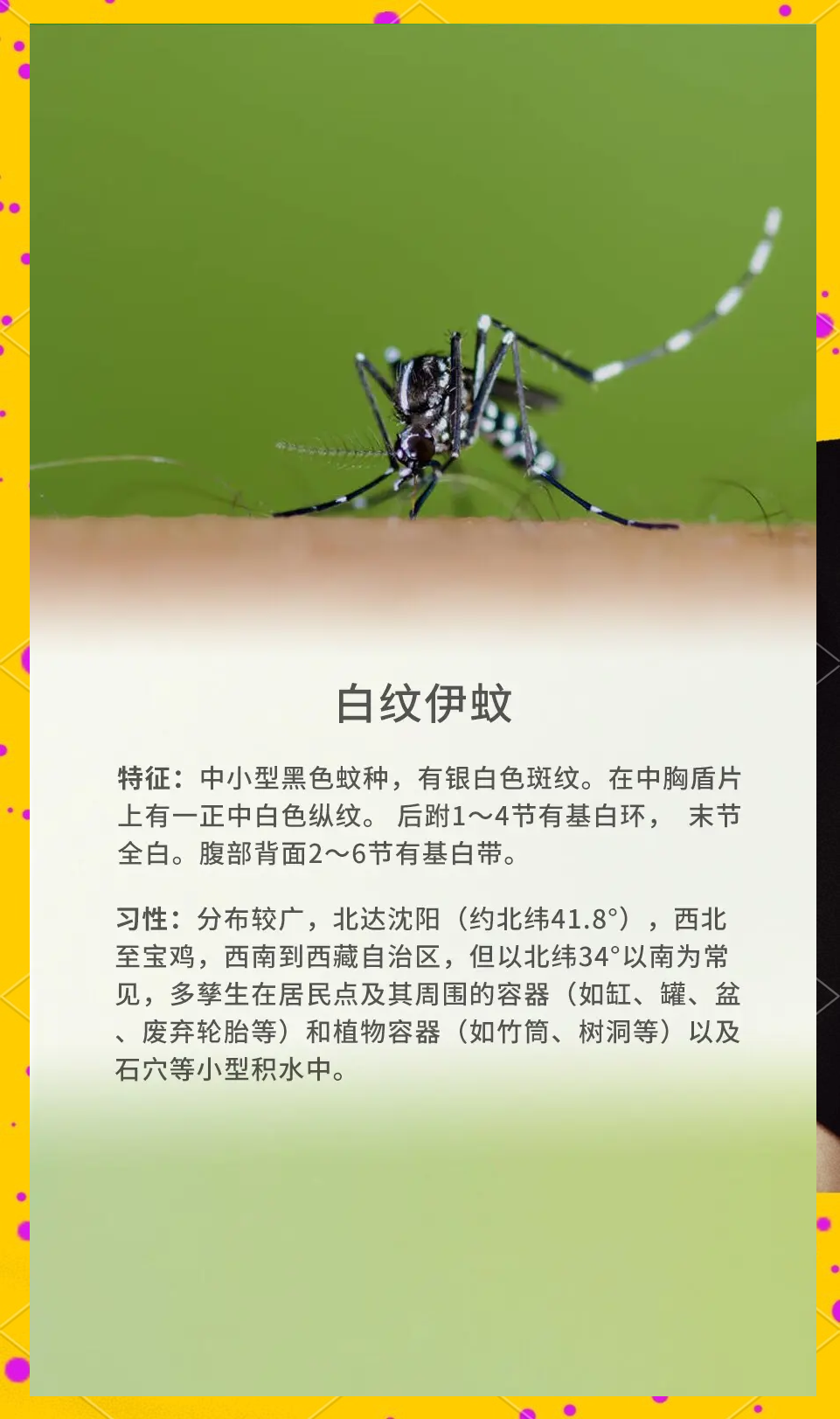唠“科”话丨为啥蚊子总叮你？“招蚊”跟血型相关？